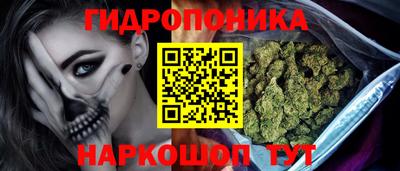СК Моздок