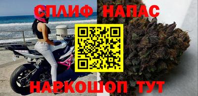 гашик Можайск
