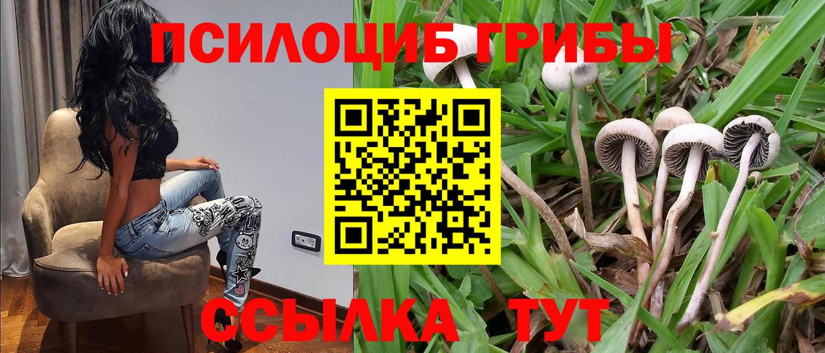 Галлюциногенные грибы ЛСД  Вход с VPN  Топки 